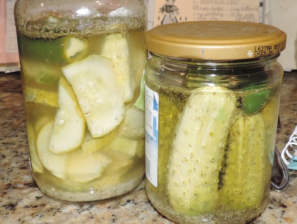61 pickles