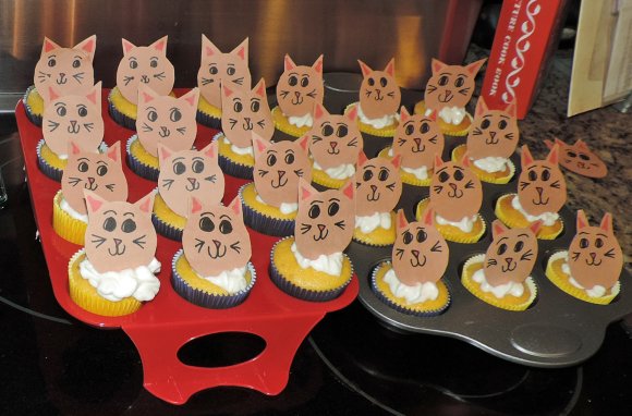 16 cat cakes