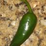 57 first pepper