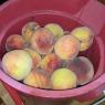 64 peaches