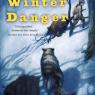 winter danger