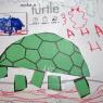31 turtle