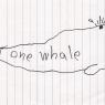 50 whale