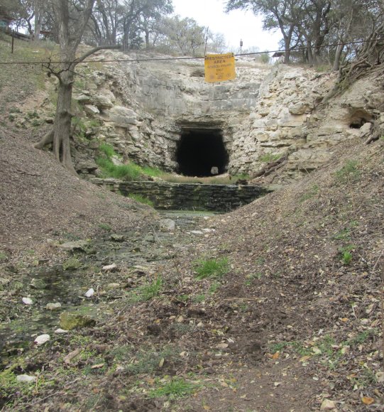 31 bat tunnel (2)