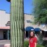 wickenburg big cactus lisa