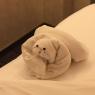 51 towel bear