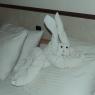 57 towel rabbit