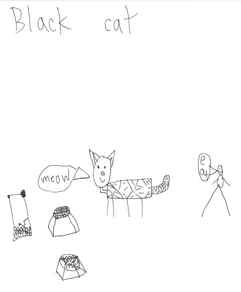 08 black cat