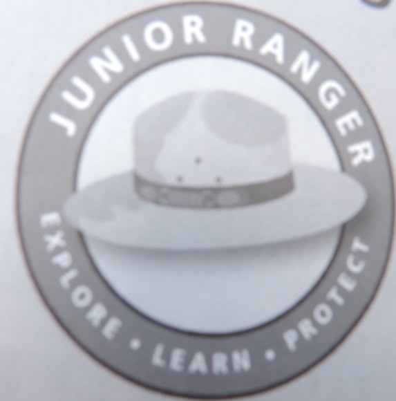 33 jr ranger