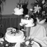 cake5
