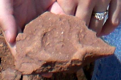 meteor tube worm fossil