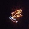 zoolights