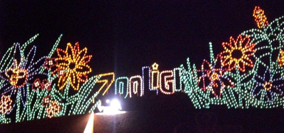 zoolights