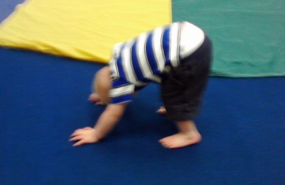 downward dog benjamin