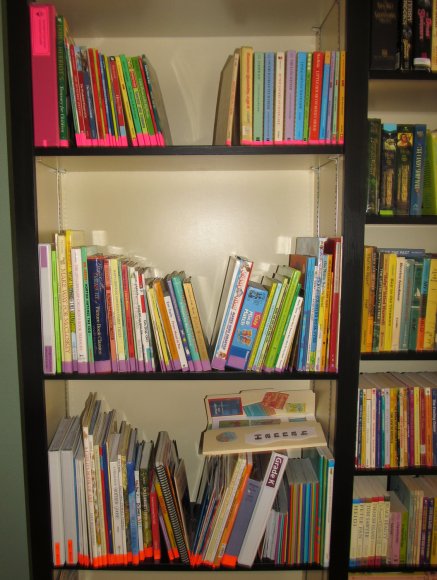 41 homeschool shelf