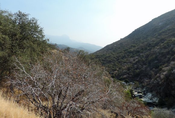 02 view moro rock