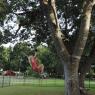 07 rope climb