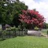 06 garden