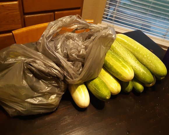 cucumbers