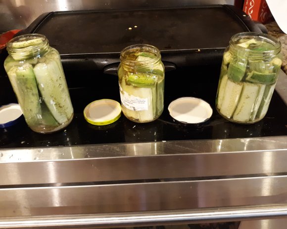 pickles