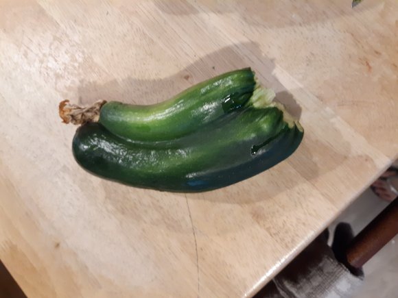 72 double zucchini