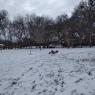 Sledding 1