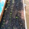 09 garden