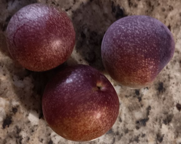 25 plums