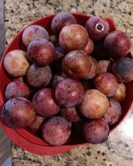 26 plums