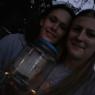fireflies