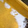 12 this much snow