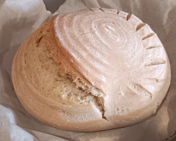 120 bread ear