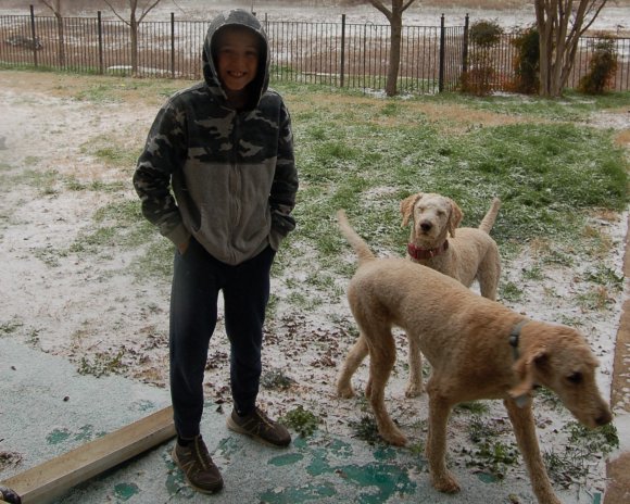 33 snow joel