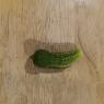 99 cucumber
