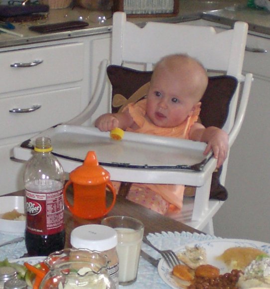 19 hannah 4th gen high chair