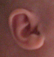 ear