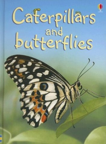 caterpillars and butterfiles