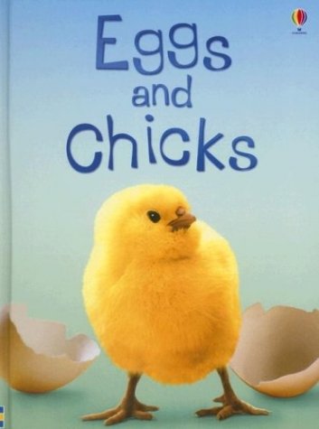 eggs and chicks