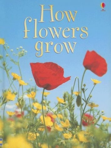 how flowers grow