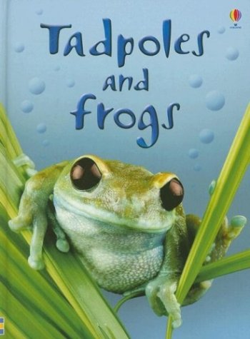 tadpoles and frogs