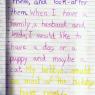 13 journal2