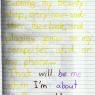 13 journal3