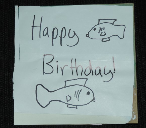 05 birthday fish