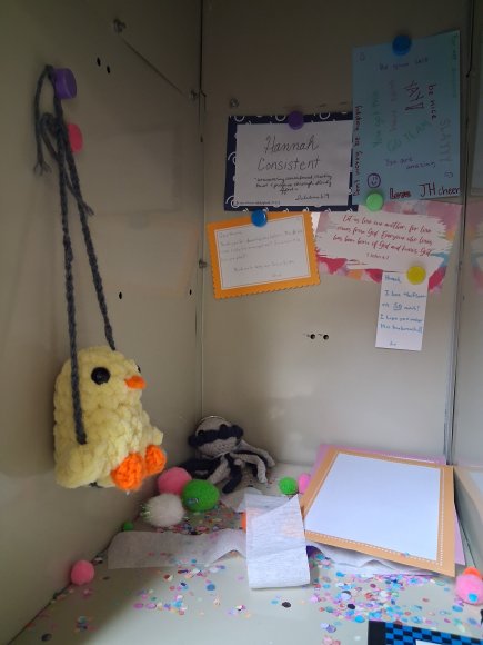senior sister gift chicken from joy
