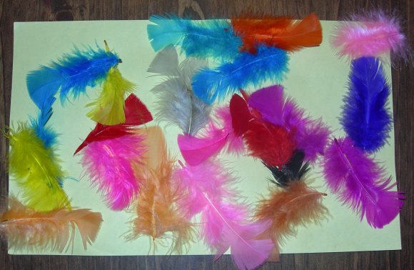 feathers