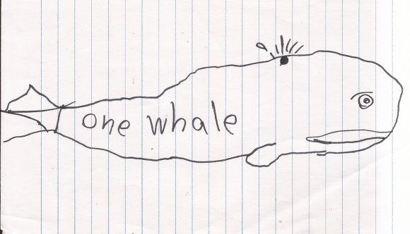 50 whale