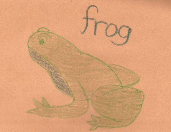 27 frog