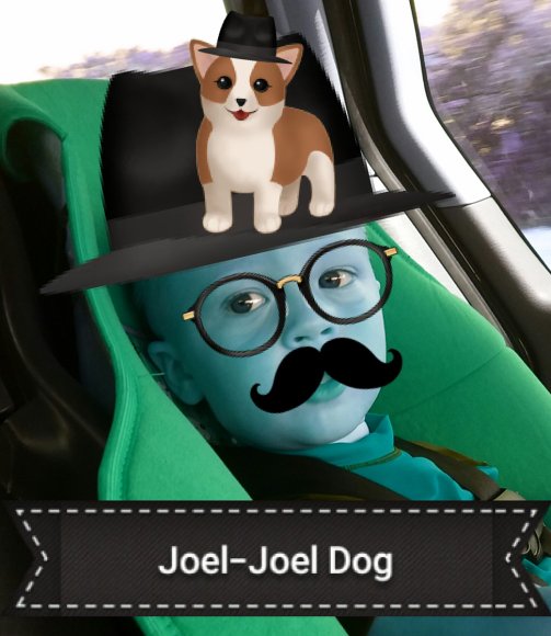 12 joel dog