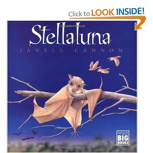 stellaluna