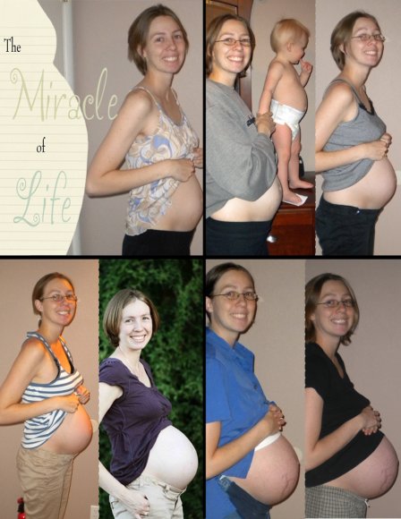 13 pregnant collage